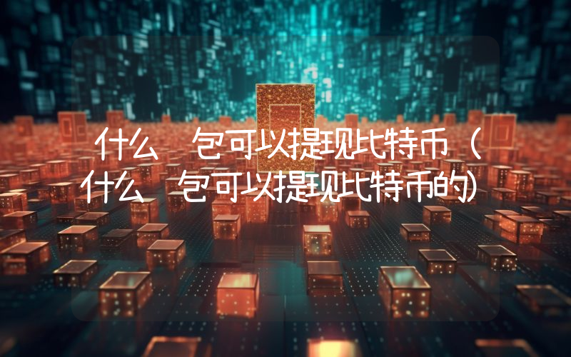 什么钱包可以提现比特币（什么钱包可以提现比特币的）