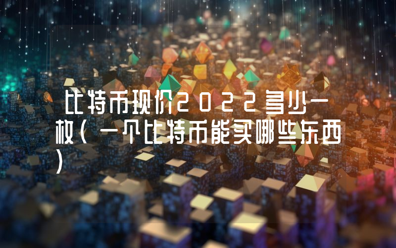 比特币现价2022多少一枚(一个比特币能买哪些东西)