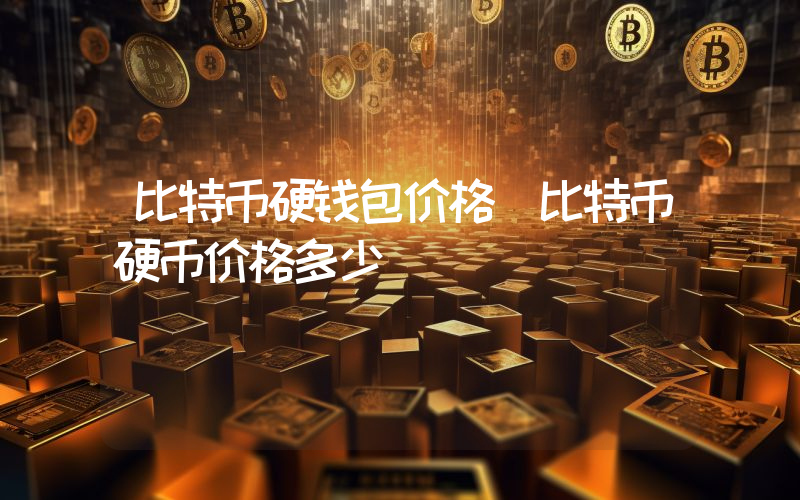 比特币硬钱包价格（比特币硬币价格多少）