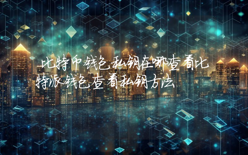 比特币钱包私钥在哪查看比特派钱包查看私钥方法