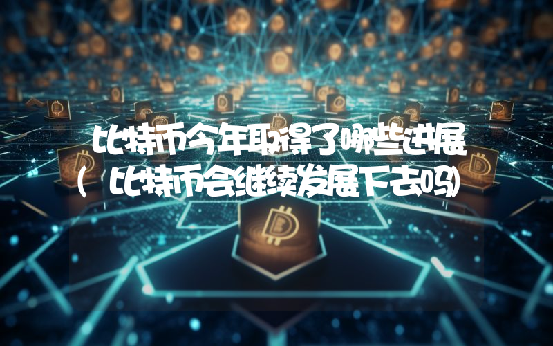 比特币今年取得了哪些进展(比特币会继续发展下去吗)