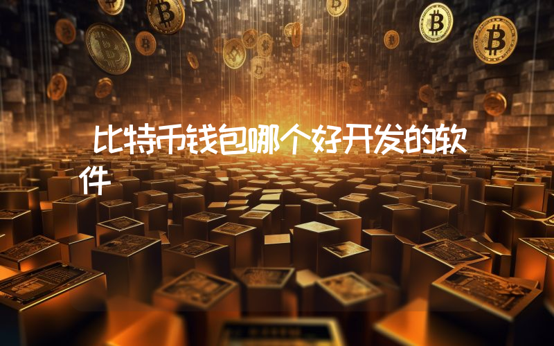 比特币钱包哪个好开发的软件