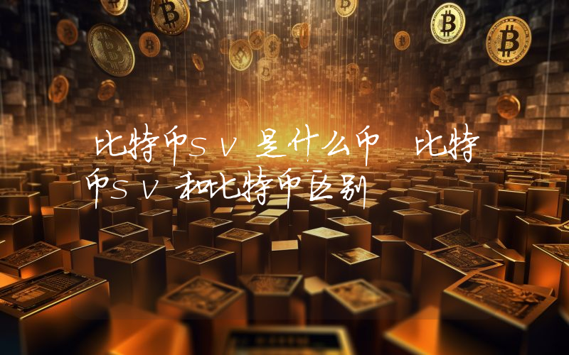 比特币sv是什么币 比特币sv和比特币区别