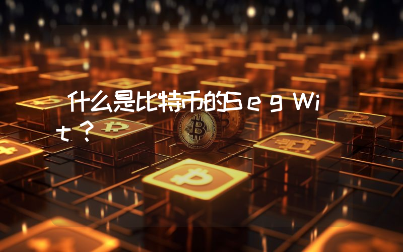 什么是比特币的SegWit？