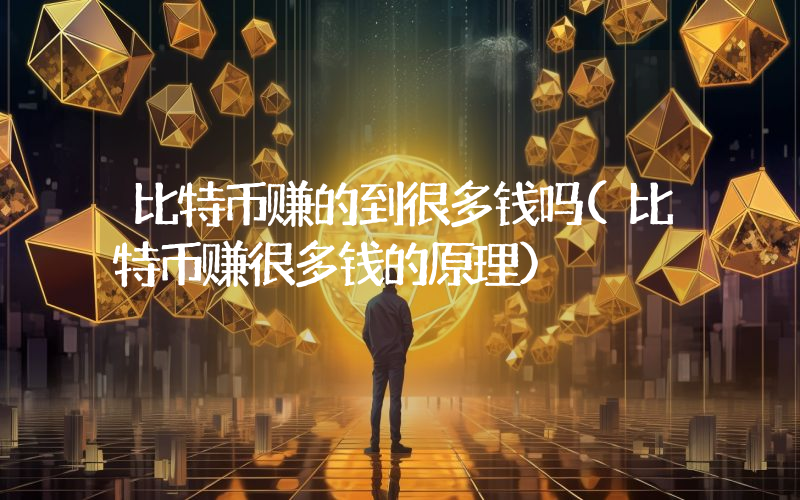 比特币赚的到很多钱吗(比特币赚很多钱的原理)