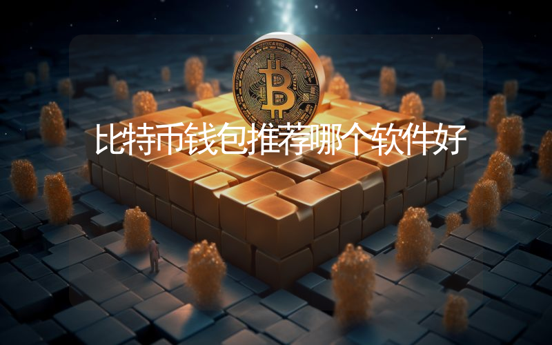比特币钱包推荐哪个软件好
