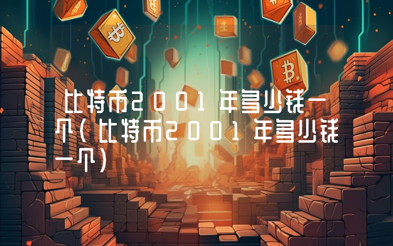 比特币2001年多少钱一个（比特币2001年多少钱一个）