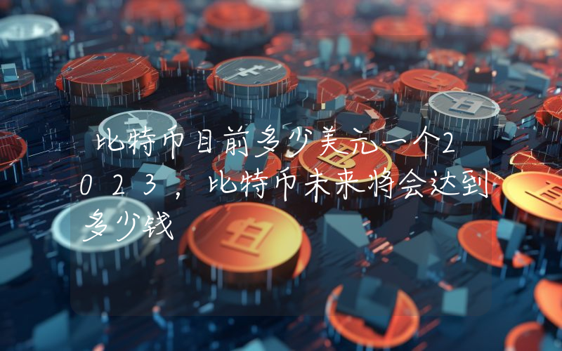 比特币目前多少美元一个2023，比特币未来将会达到多少钱