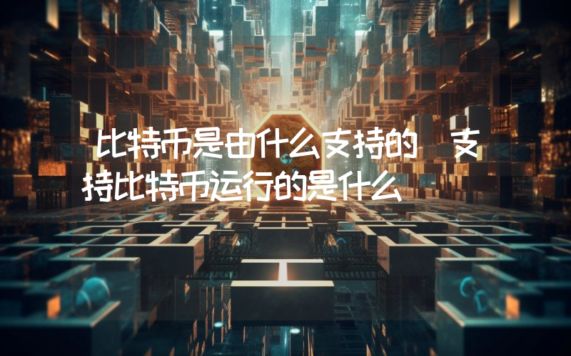 比特币是由什么支持的 支持比特币运行的是什么