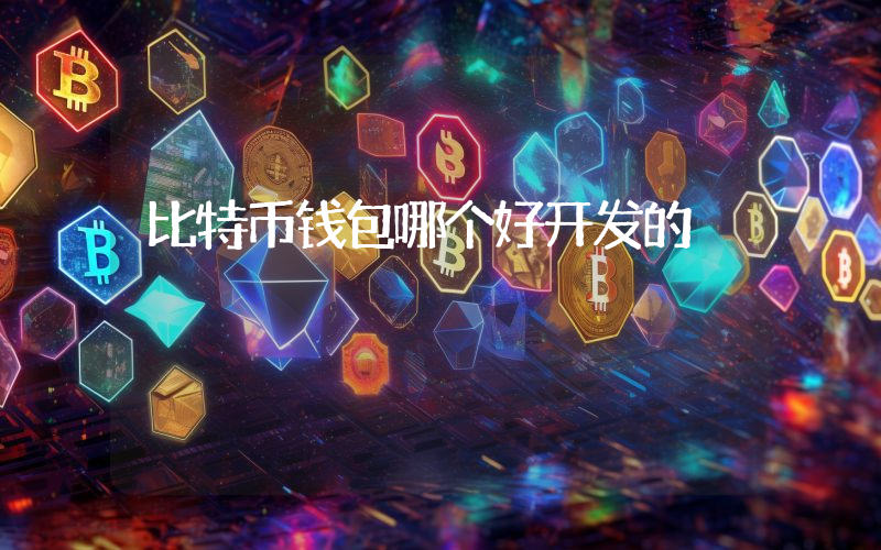 比特币钱包哪个好开发的
