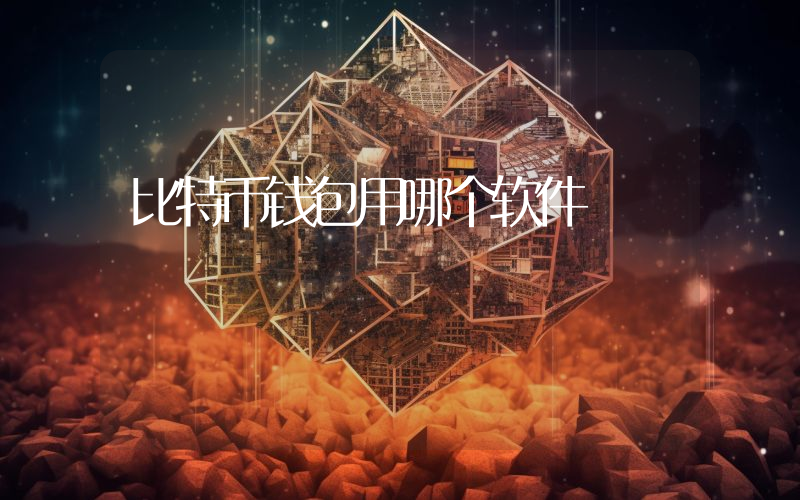 比特币钱包用哪个软件