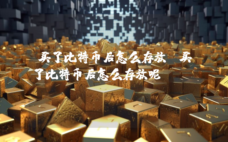 买了比特币后怎么存放（买了比特币后怎么存放呢）