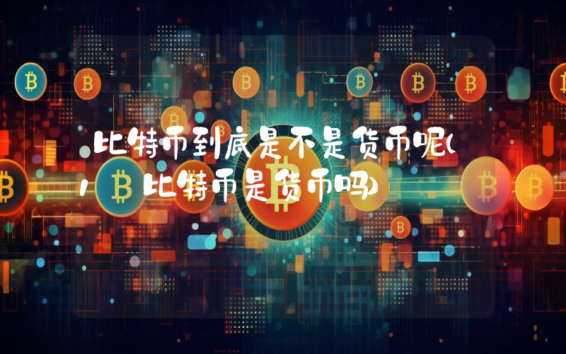 比特币到底是不是货币呢（1 比特币是货币吗）