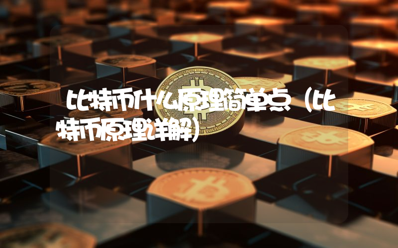 比特币什么原理简单点（比特币原理详解）