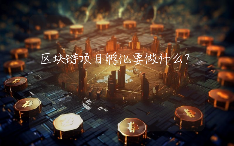 区块链项目孵化要做什么？