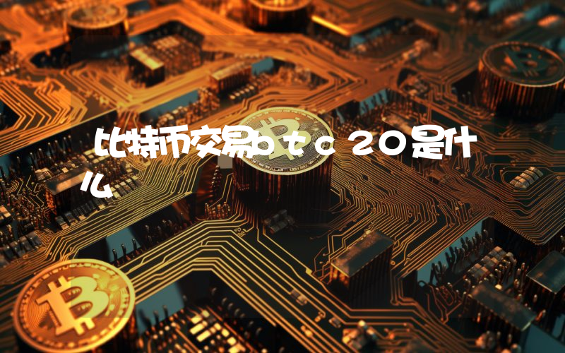 比特币交易btc20是什么