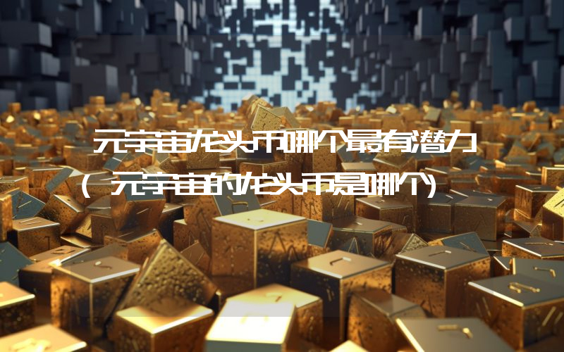 元宇宙龙头币哪个最有潜力(元宇宙的龙头币是哪个)