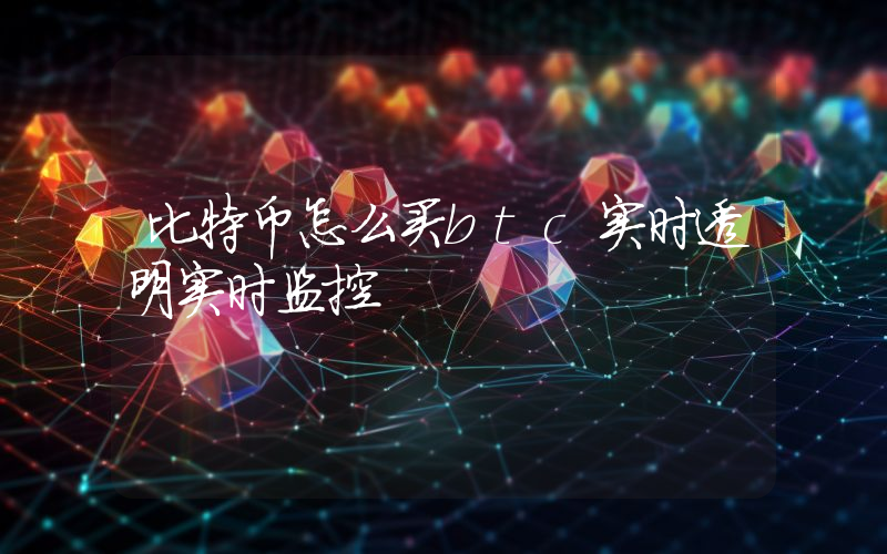 比特币怎么买btc实时透明实时监控