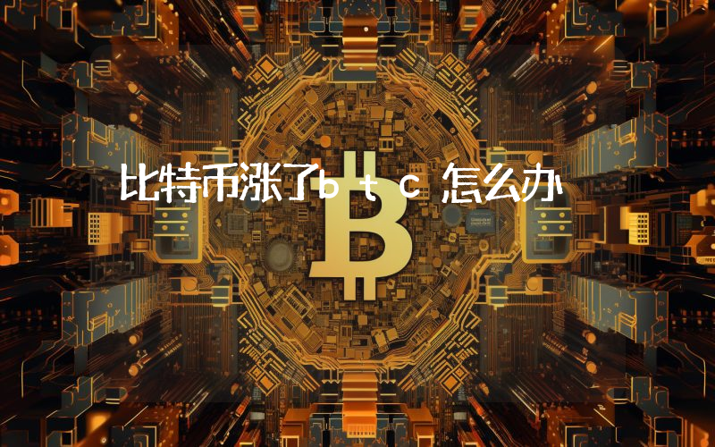 比特币涨了btc怎么办