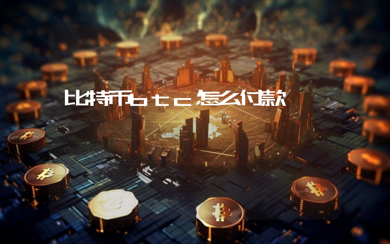 比特币btc怎么付款