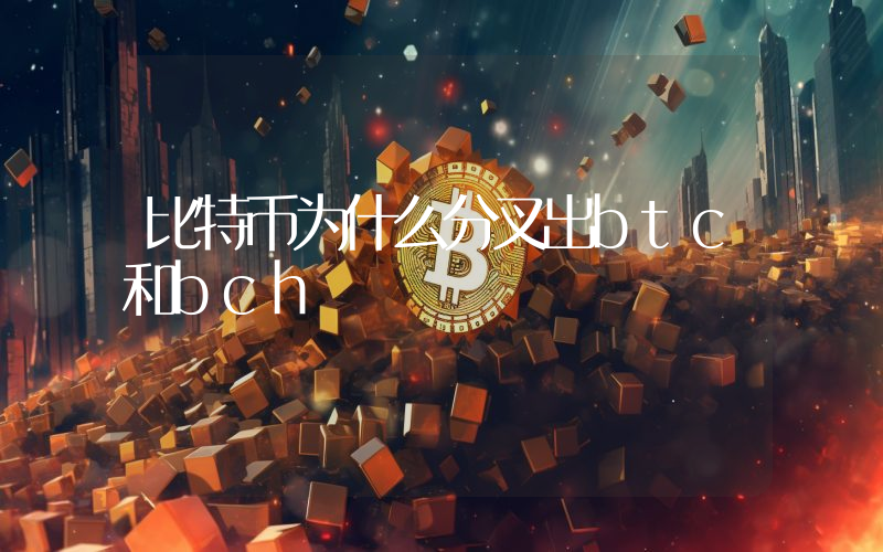 比特币为什么分叉出btc和bch