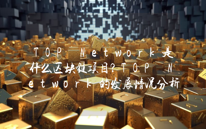 TOP Network是什么区块链项目？TOP Network的发展情况分析