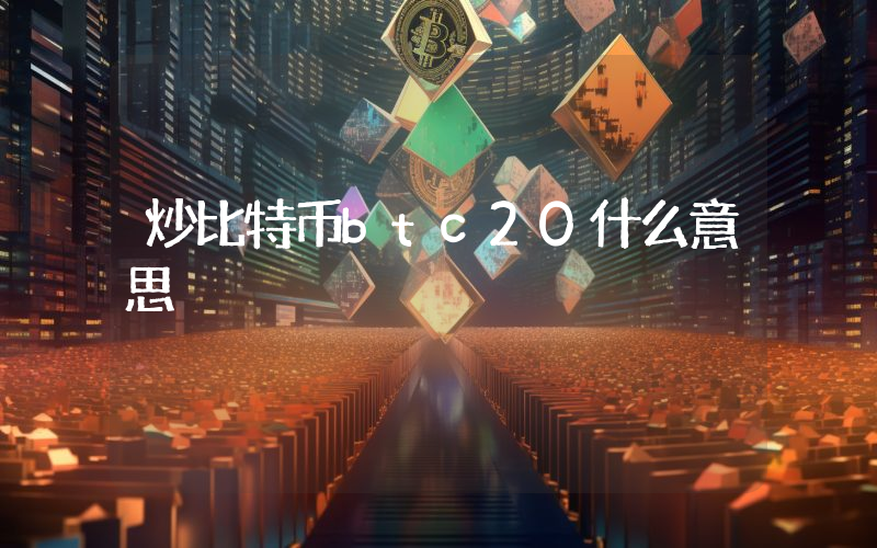 炒比特币btc20什么意思