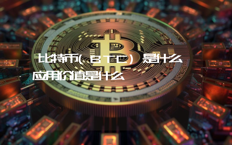 比特币(BTC)是什么 应用价值是什么