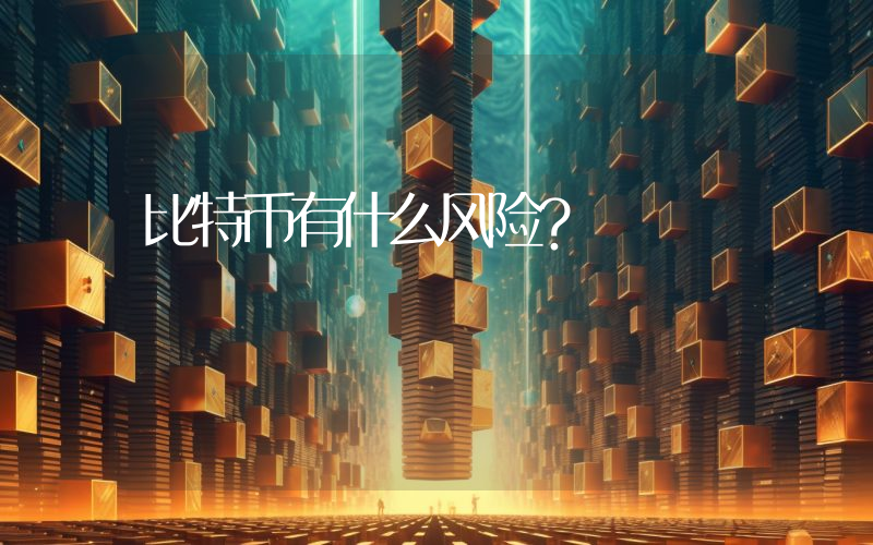 比特币有什么风险？