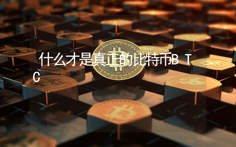 什么才是真正的比特币BTC
