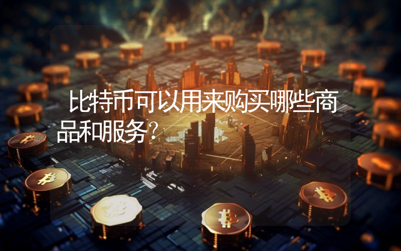 比特币可以用来购买哪些商品和服务？