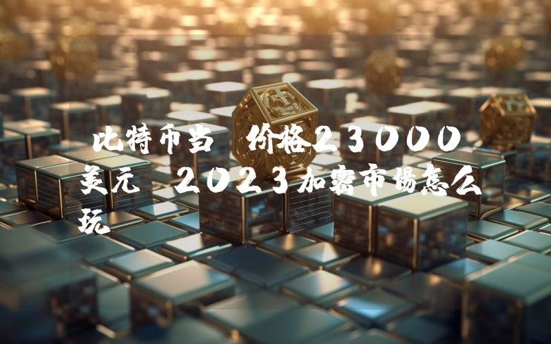 比特币当前价格23000美元 2023加密市场怎么玩
