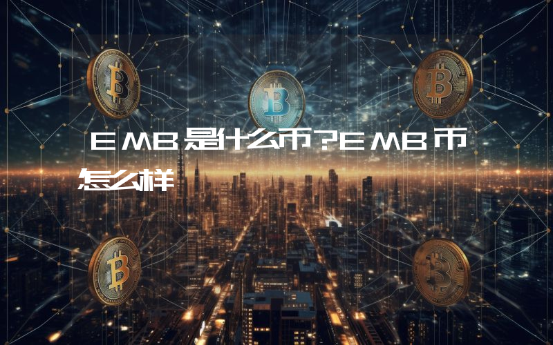 EMB是什么币？EMB币怎么样