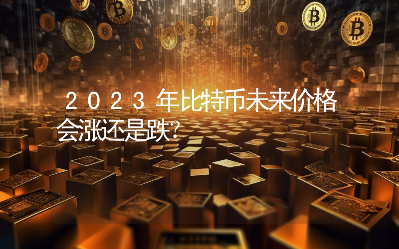 2023年比特币未来价格会涨还是跌？