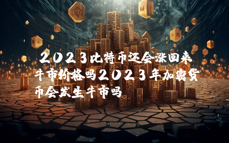 2023比特币还会涨回来牛市价格吗2023年加密货币会发生牛市吗