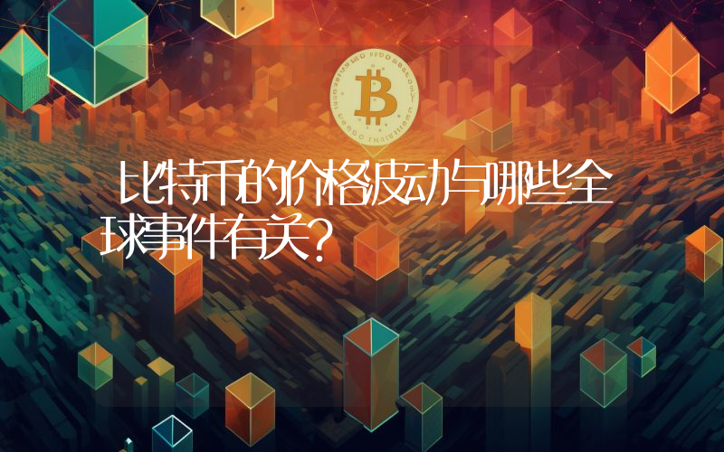 比特币的价格波动与哪些全球事件有关？