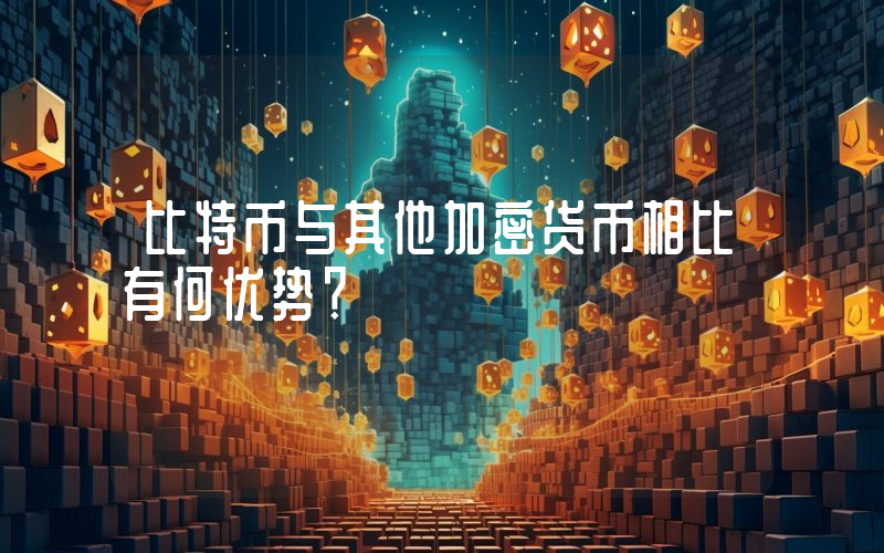 比特币与其他加密货币相比有何优势？