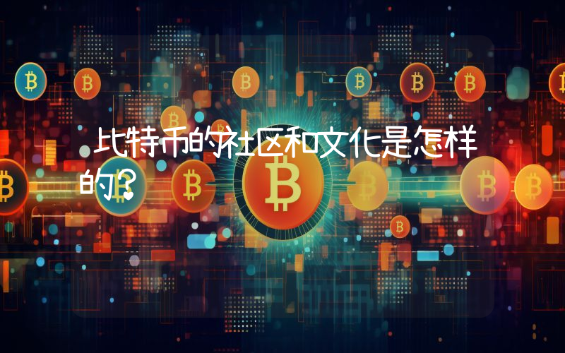 比特币的社区和文化是怎样的？