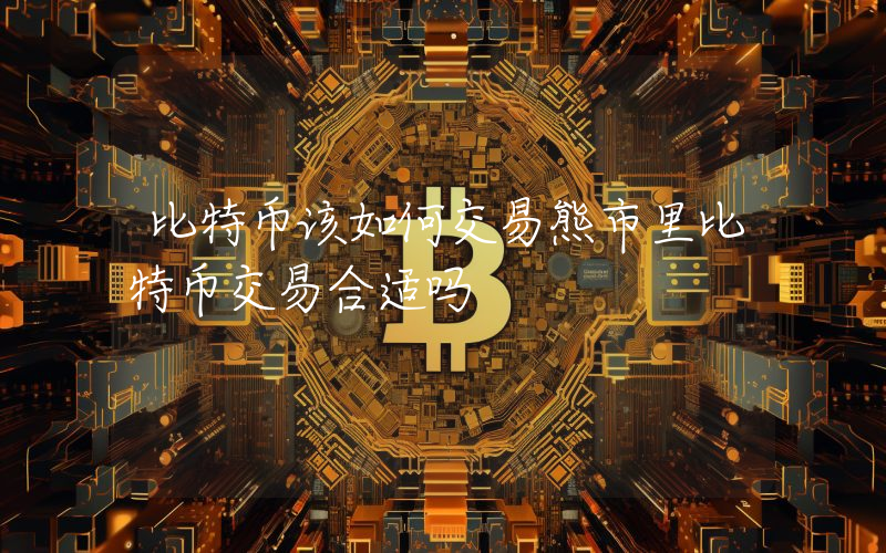 比特币该如何交易熊市里比特币交易合适吗