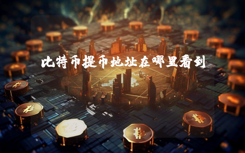 比特币提币地址在哪里看到？