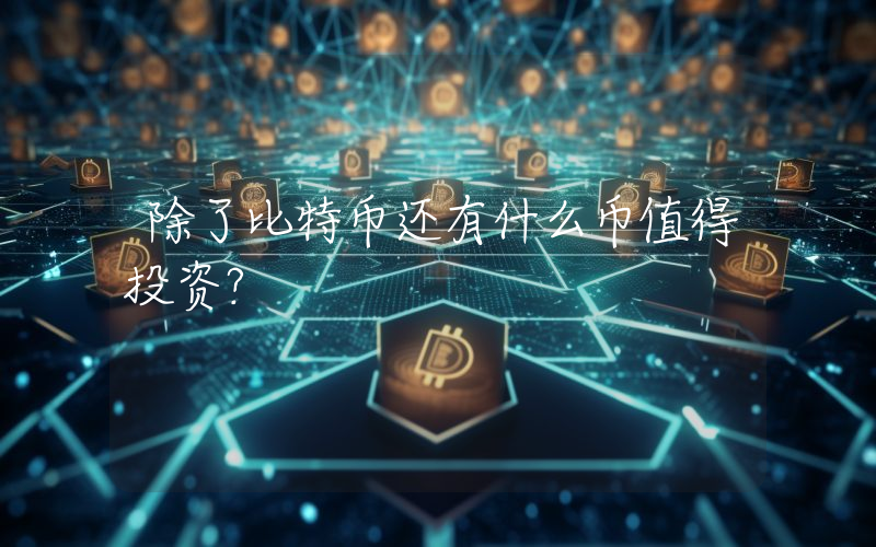 除了比特币还有什么币值得投资？