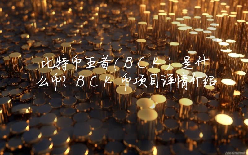 比特币王者(BCK)是什么币？BCK币项目详情介绍