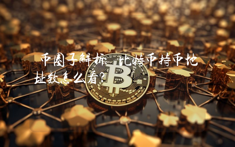 币圈子解析：比特币持币地址数怎么看？