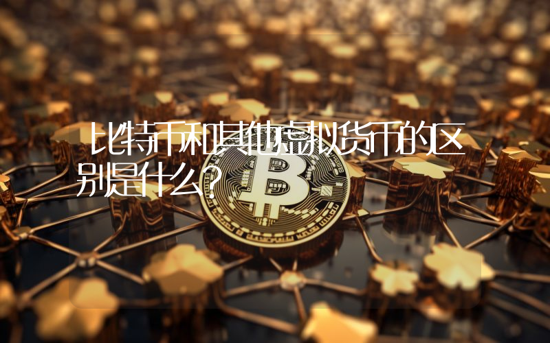 比特币和其他虚拟货币的区别是什么？