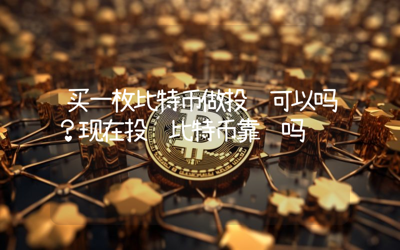 买一枚比特币做投资可以吗？现在投资比特币靠谱吗