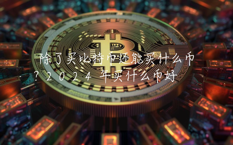 除了买比特币还能买什么币？2024年买什么币好