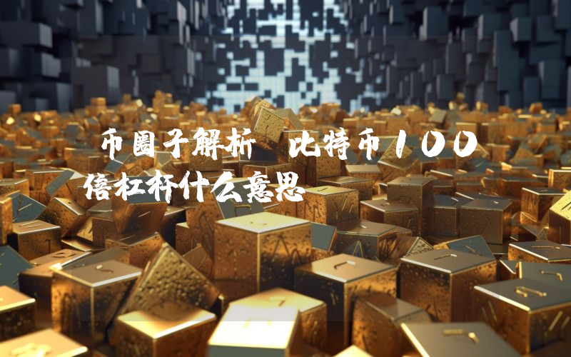 币圈子解析：比特币100倍杠杆什么意思？