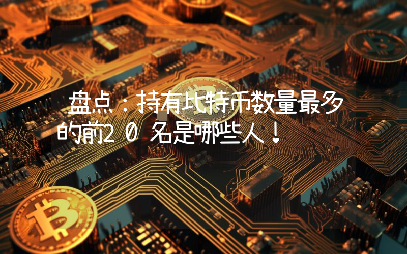 盘点：持有比特币数量最多的前20名是哪些人！