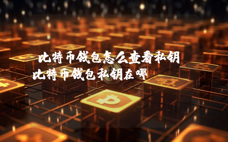 比特币钱包怎么查看私钥？比特币钱包私钥在哪