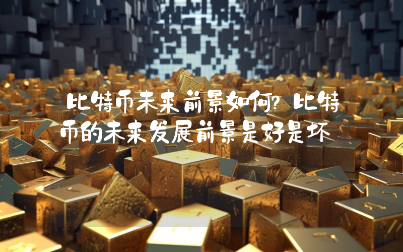 比特币未来前景如何？比特币的未来发展前景是好是坏